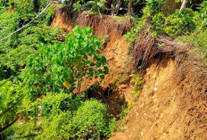 Erosi Sungai di Mukomuko Tak Kunjung Ditangani, Ini Akibatnya