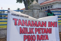Spanduk Tuntutan Petani Pino Raya Masih Terpasang di Pagar Kantor Bupati