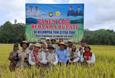 Beras Bengkulu Selatan Didorong Lebih Berkualitas, Petani Disiapkan Punya Pasar Tetap