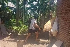 Menyingkap Tabir Dugaan Perselingkuhan 2  Oknum Guru SDN di BS, Suami Sah Jadi Saksi Mata di Pagar