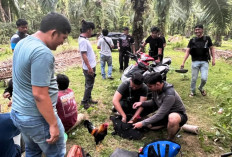 Gerebek Arena Judi, Polres   Kaur Ringkus Tiga Pelaku