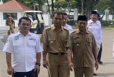 Perwakilan Kepala Desa Temui Presiden Jokowi, Ini yang Disampaikannya