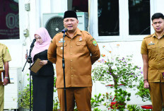 PPPK di Bengkulu Ditugaskan Tagih Pajak PBB dan Kendaraan Bermotor, Wakil Wali Kota Tegaskan jadi Penilaian  