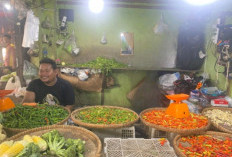 Harga Cabai Melonjak, Segini Sekarang