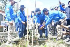  Bupati dan Wabup Rejang   Lebong Tanam Pohon Produktif, Ini Sasarannya