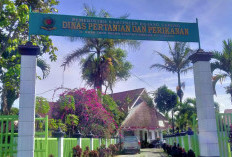 70 Kasus Gigitan, Uji Rabies Warga Kabupaten Rejang Lebong Harus Bayar Sendiri 