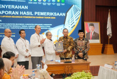 Raih WTP, Temuan BPK   Tetap Ditindaklanjuti