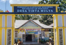 2 Kegiatan Fisik   Desa Tirta Mulya 