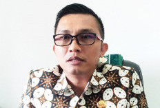 Penyelesaian LHP BPK Capai Segini