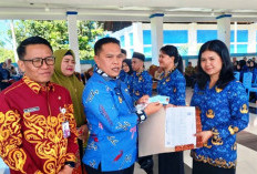 CPNS Didominasi dari Luar   Lebong, Mayoritas Daerah Ini