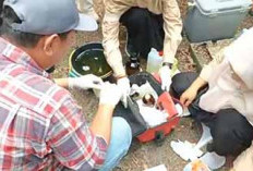 Empat Titik Sampel Limbah PT BSL Diperiksa, Begini Respons Pihak Perusahaan