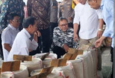 Presiden Jokowi  Ungkap Penyebab Kenaikan Harga Beras, Pemerintah Lakukan ini 
