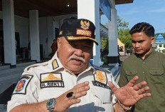 Bupati Siapkan PKS Baru, Harga   Sawit Petani Diharapkan Meningkat
