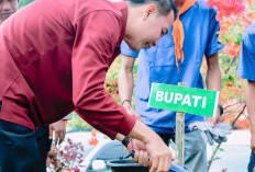  Rejang Lebong Siapkan Segini Bibit Pohon