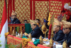 Kejar Ekonomi Tumbuh 8 Persen,  Gubernur Helmi Lobi Kawasan Industri di Kawasan Pulau Baai