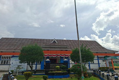  Honor 221 Nakes di Lebong   THLT Belum Dibayar, Ini Penyebabnya