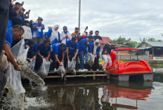  Bupati dan Wabup  Rejang Lebong   Lepas Ribuan Ekor Bibit Ikan, Ini Lokasinya
