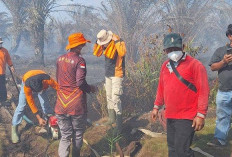 BPBD Mukomuko Gencarkan Upaya Padamkan Kebakaran Lahan, Warga Diimbau Tetap Waspada