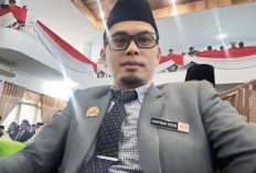  Anggota DPRD Seluma   Dukung Tambang Emas, Ini Alasannya