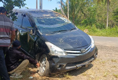 Mobil CJH Asal Giri Mulya Terjun ke Sawah, Ternyata Ini Pemicunya