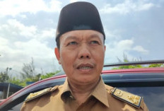 Pancaroba, Ternak di Bengkulu Rentan Terserang Penyakit, Mulai dari Ngorok,PMK,LSD dan Jembrana