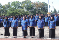 Nasib PPPK Paruh Waktu Ditentukan Kemampuan Fiskal Daerah, Evaluasi Nasional Dimulai 2026