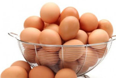 Diet Telur Rebus, Jitu Turunkan  Berat Badan Dalam Waktu Singkat