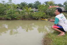 Amalkan Doa Ini, Insya Allah Hasil Tangkapan Melimpah Saat Mancing di Sungai