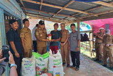 Bupati Benteng Salurkan 30 Ton Pupuk Gratis