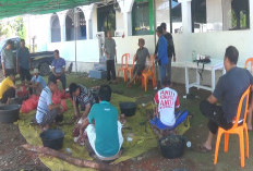 Kerbau Mengamuk 5 Panitia Kurban Terluka, Terjadi di Bengkulu Begini Kronologis Kejadiannya 