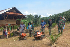 Satgas TMMD Ke-124 Kodim 0408/BS Bantu Bajak Tanah Lahan Petani