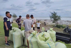  Bulog Bengkulu Genjot Serapan Gabah Petani, Target 3.100 Ton Masuk Gudang