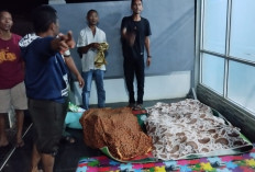 Laka Maut di Mukomuko, 6 Orang Meninggal Dunia