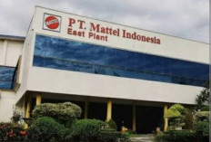 SMA dan S1 Bisa Daftar, PT Mattel Indonesia Rekrut Tenaga Baru Untuk Dua Posisi Ini 