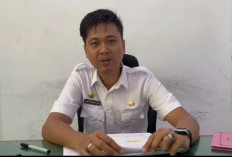 1.199 PPPK Paruh Waktu Diminta Segera Lengkapi DRH, Ini Batas Akhirnya