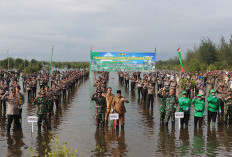 TNI Cegah Abrasi, Tanam 4.000 Pohon Mangrove di Wilayah Ini