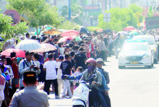 DLH Kewalahan Jaga Taman, Begini Pernyataan Kepala DLH Kota Bengkulu 