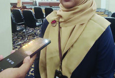 Sukseskan Sensus Ekonomi 2026, Data Akurat Jadi Kunci Penyusunan Kebijakan Pembangunan