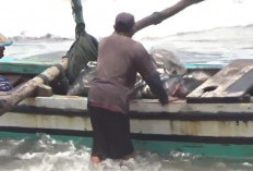 Dinas Perikanan BU Berikan Bantuan untuk Nelayan, Ini Jenisnya 