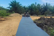 Petani Mukomuko Sambut Baik Perbaikan Jalan Usaha Perkebunan Sawit dari BPDPKS, Permudah Distribusi Panen