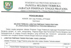 Pemprov Bengkulu Gelar Seleksi Terbuka 19 Jabatan Eselon II, Berikut Syaratnya