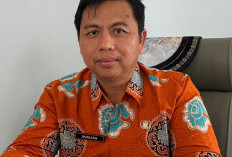 Waspada Demam Tinggi Gejala DBD, Kabid P2P Dinkes Provinsi Bengkulu Segera ke Faskes atau Rumah Sakit 
