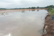  200 Ha Lahan Sawah di Benteng   Terendam Banjir Enam Hari, Begini Dampaknya