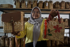 Merangkai Gulma Menjadi Primadona