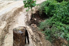 Jalan Nyaris Putus , Warga Trans Babat Terancam Terisolir