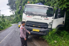 Tak Kuat Nanjak, Fuso   Bawa Pupuk Hantam Cadas
