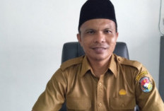 Mukomuko Bangun Ruang Terbuka Hijau, Kegiatan Dimulai, Segini Anggaran dan Lokasinya, 