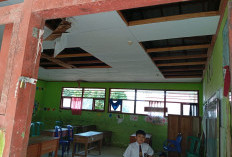  Pemkab Mukomuko Tak Gubris   Usulan Rehab SDN 02 Teramang Jaya, Begini  Kondisinya