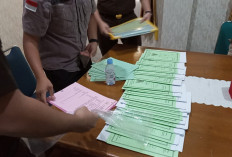  Dalami Kasus Sertifikat Hak Milik di HPT Bukit Rabang, Kejari Bengkulu Selatan Periksa 31 Saksi