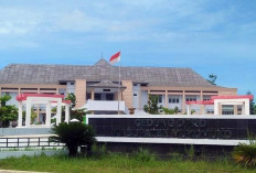 Peta Politik Mukomuko Bakal Berubah Tahun 2029, Penduduk Tembus 200 Ribu, Kursi DPRD Berpeluang Tambah